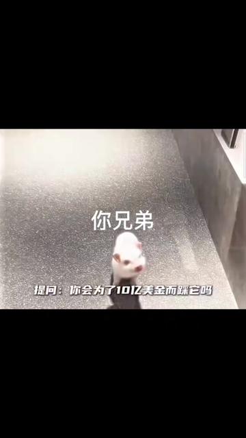 @叫我翃（技輸煮棒）