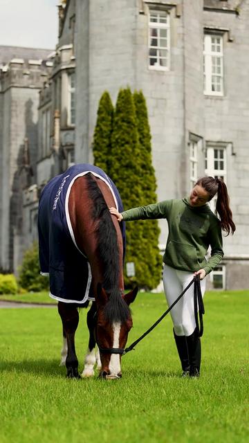 @Leader Equine