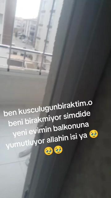 @🎲🎲oyunkusu.kirsehir40🎲🎲