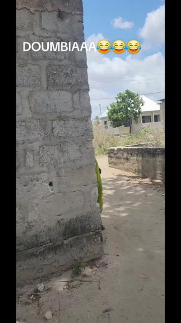 @Officiallkuryaboy