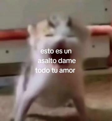 @cris ❄️