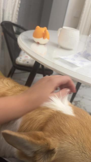 @Panda&Banda