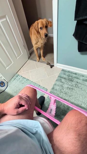 @Diarrhea Support Dog Training