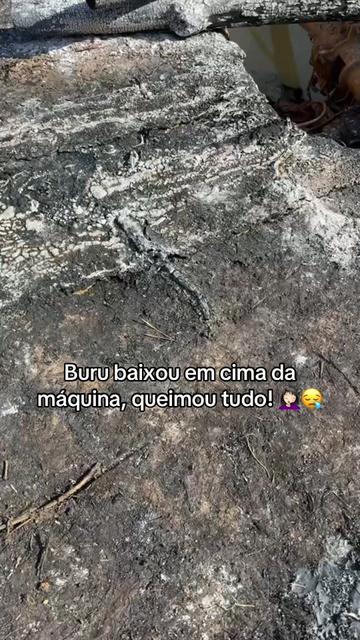 @Daniela❤️