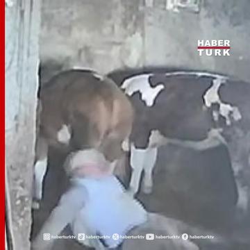 @Habert&uuml;rk TV