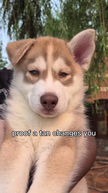 @Petland Oklahoma City