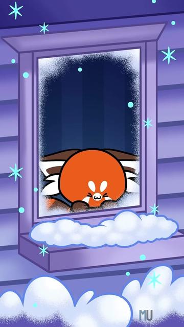 @Rilo the Fox