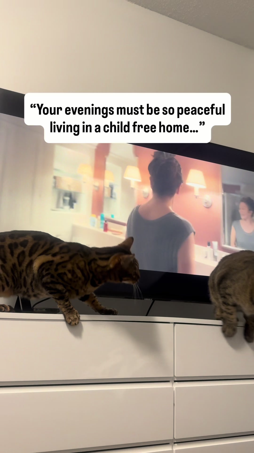 @Three Nawty Cats