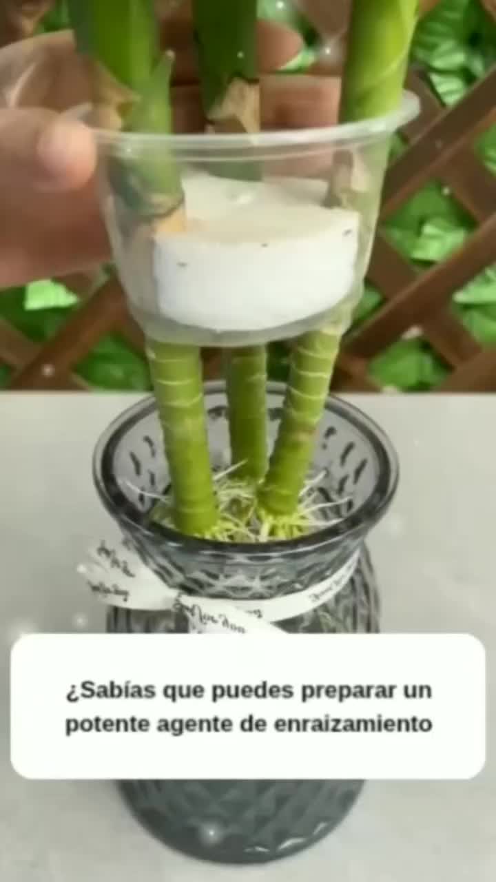 @MIJARDIN