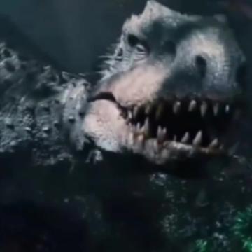 @Acrolog🦎🌱