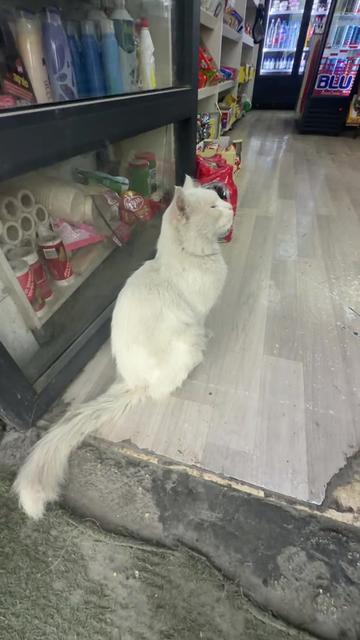 @الچدع | Algada3