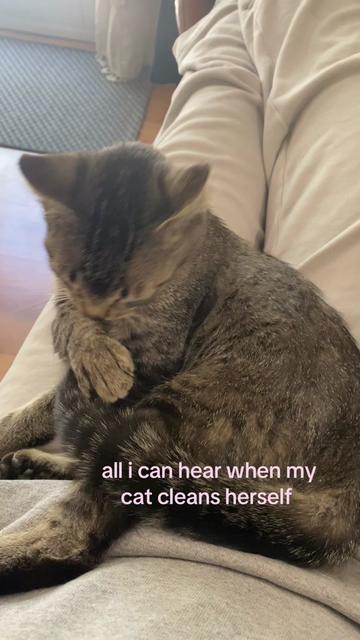 @brielle!!
