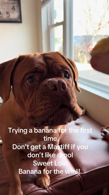 @MovingMamaMayfield
