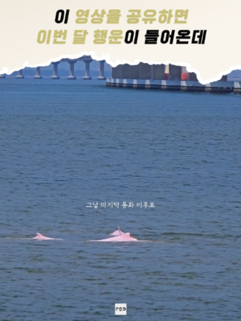 @일담플