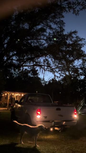 @250tyler