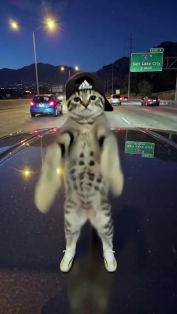 @FNvalenYT