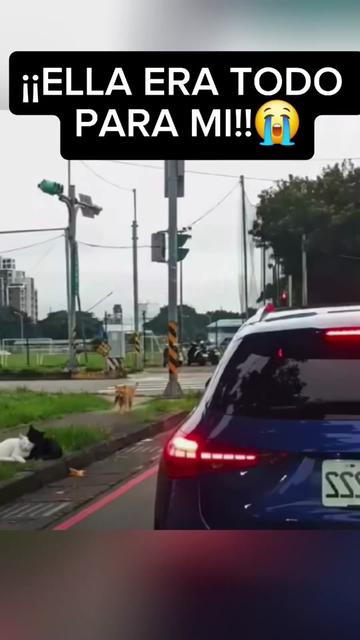 @EL POLICÍA 👮♂️