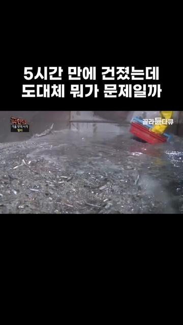 @EBS 다큐