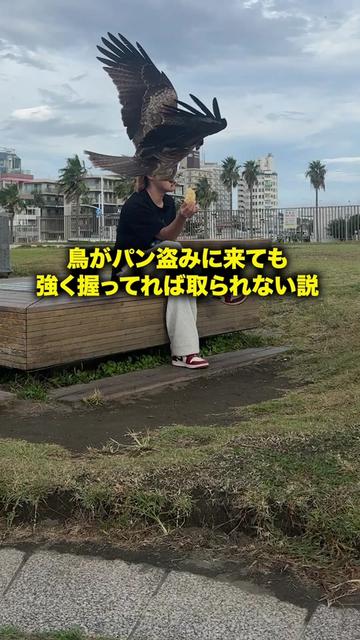 @おーがすと