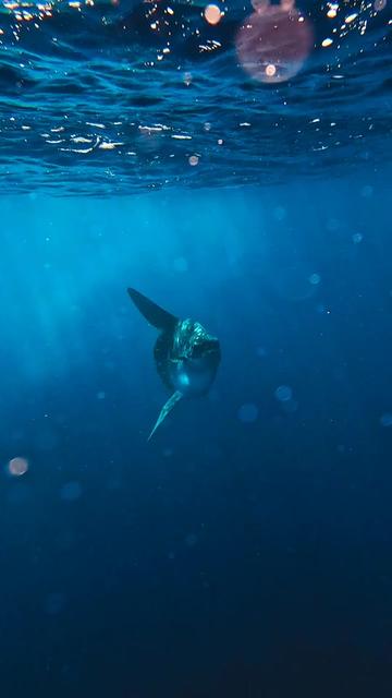 @Visit Fuvahmulah