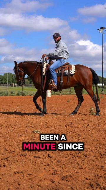 @WS Horses