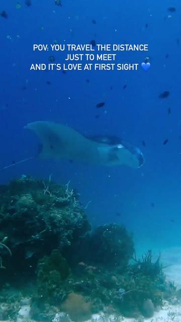 @Scuba Diving with Ara