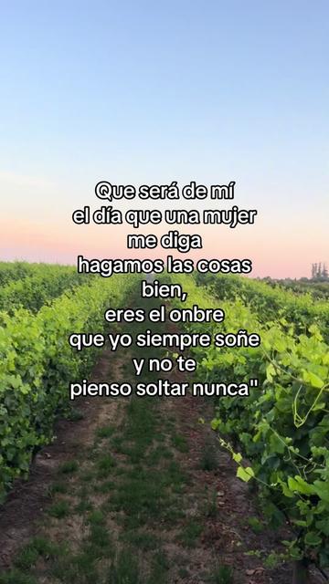 @🍓🪗✨pablocarbajal63⚜️👽🍓