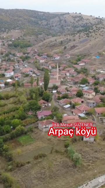 @mesut süzener
