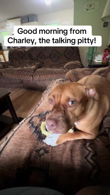 @ⓉⓐⓣⓣⓔⓓⒼⓐⓜⓜⓨⓞⓕ④