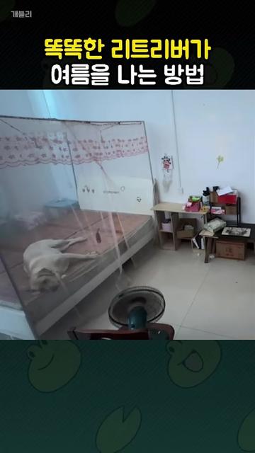 @개블리
