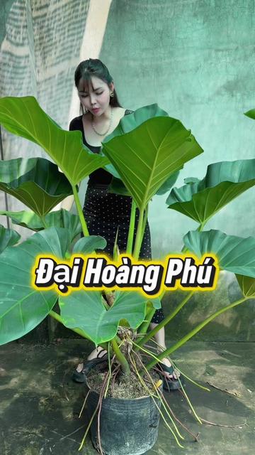 @Tiệm L&aacute; Nhỏ
