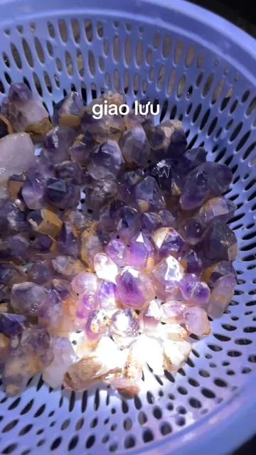 @SơRô Jrai 81