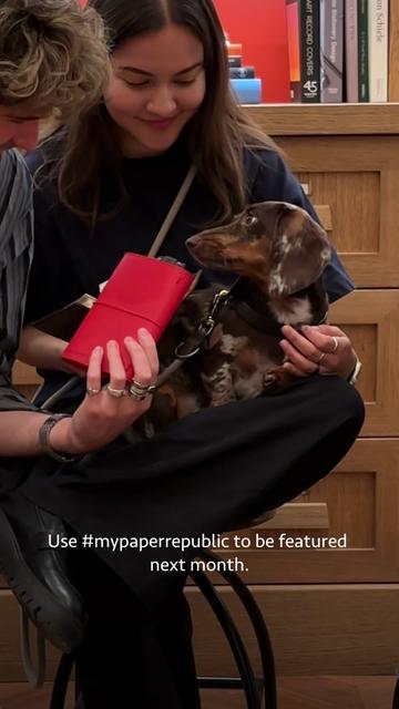 @paper republic