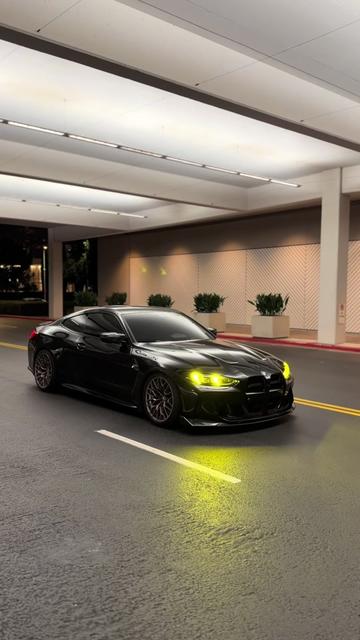 @sheeshg8x