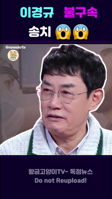 @황금고양이TV