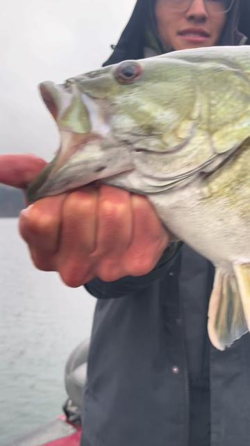 @Punkin Jigs