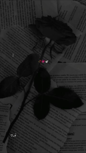 @♥︎𝑏𝑜𝑜𝑘𝑖𝑠ℎ𝑔𝑖𝑟𝑙♥︎