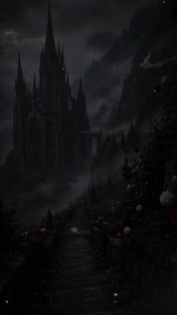 @🖤_butterfly_🖤