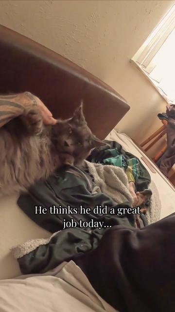 @Manny der Strizzikater