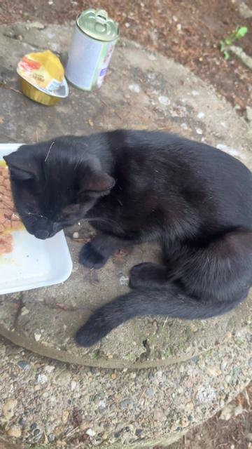 @cosanostrapurr