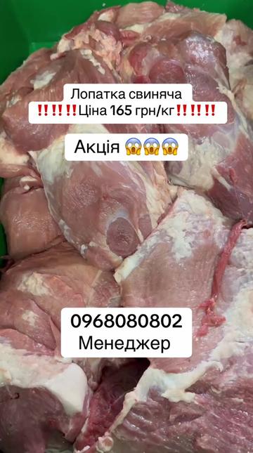 @msmakoluku