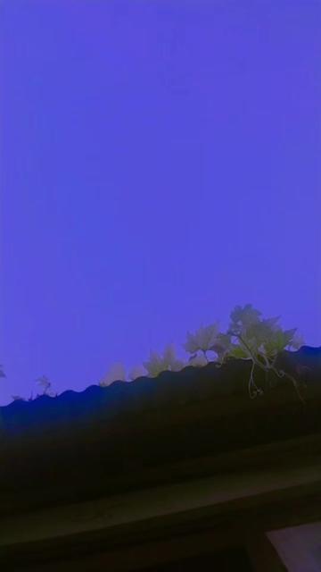 @🆀🆄🅴🅴Ⓝ_Ⓡ🅾🅾Ⓟ🅰