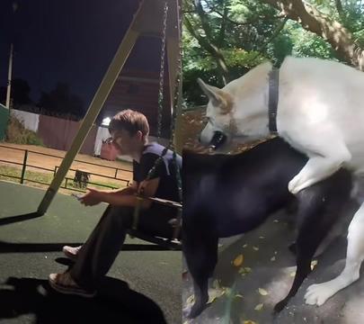 @Чуч | сгоревший