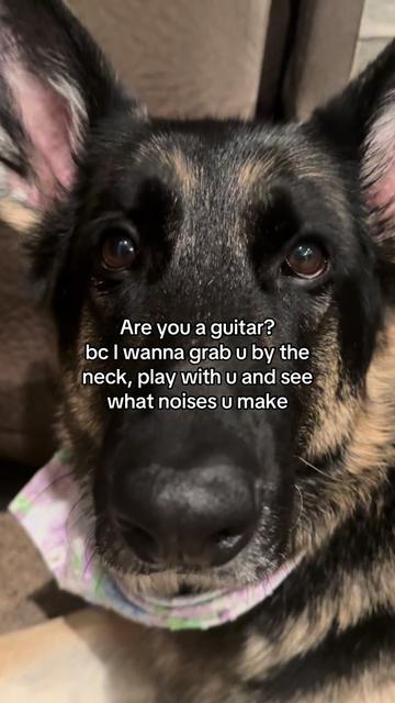 @Bhris