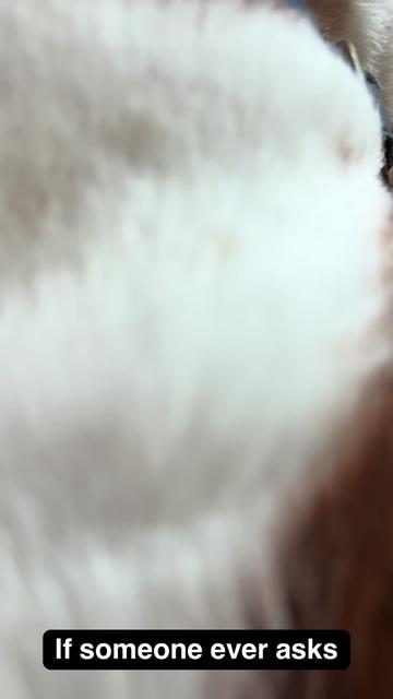 @TikTok4Fun