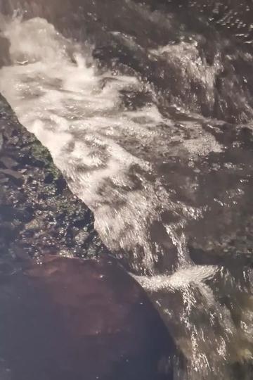 @⚫️ Anita ⚫️S&aacute;rk&ouml;zi