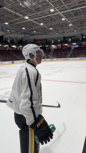 @Sarnia Sting