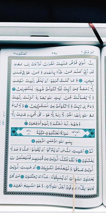@Quran's Faizan