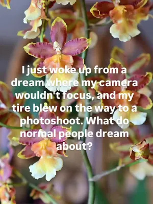 @Beth - Epona Media