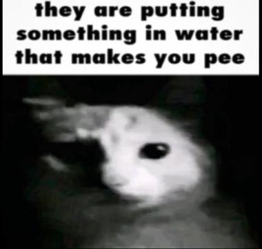 @Adamior